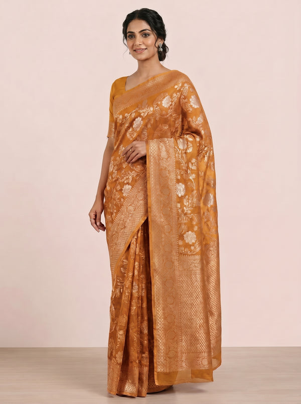The Banarasi Bronze Zari Pure Chiffon Saree - Golden